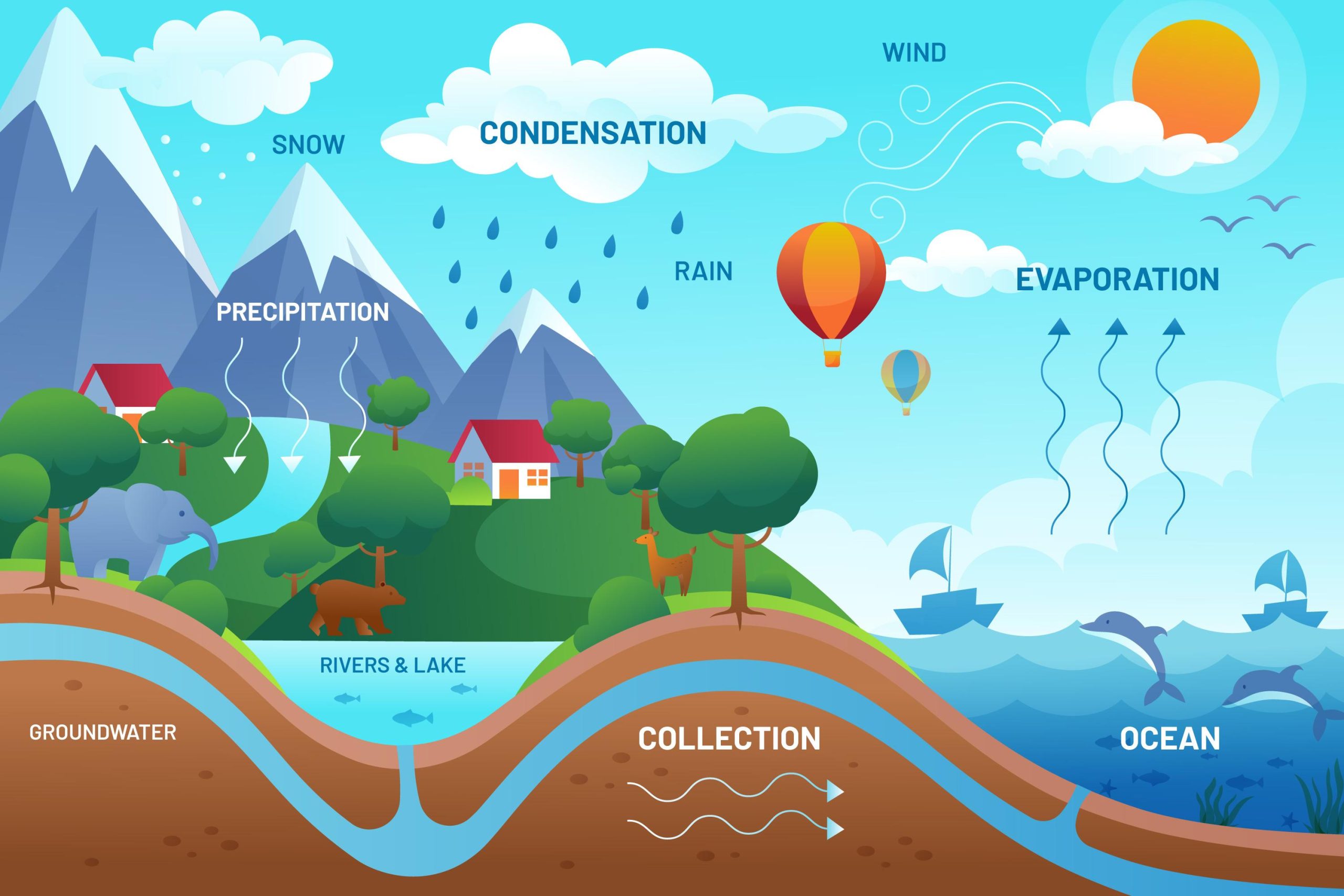 water cycle